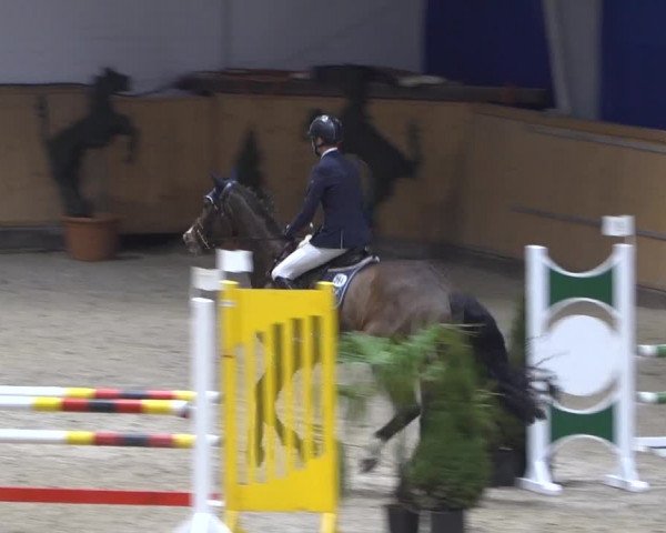 Springturnier Aachen - Albert-Vahle-Halle 2022