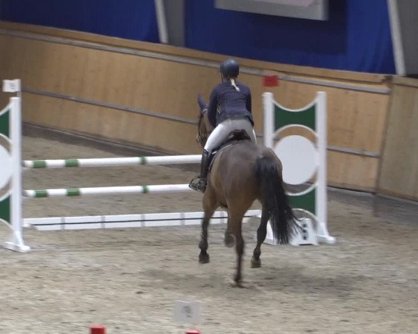 Springturnier Aachen - Albert-Vahle-Halle 2022