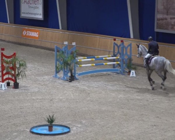 Springturnier Aachen - Albert-Vahle-Halle 2022