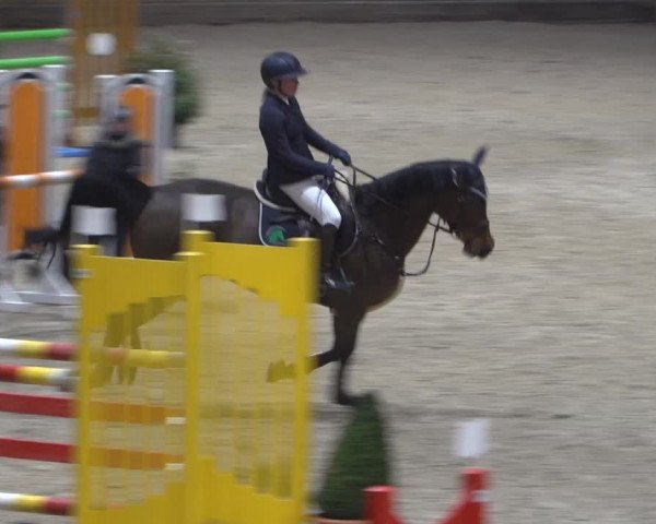 Springturnier Aachen - Albert-Vahle-Halle 2022