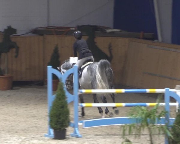 Springturnier Aachen - Albert-Vahle-Halle 2022