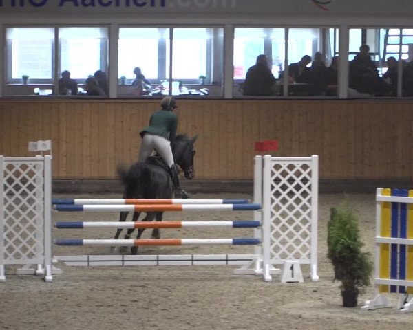 Springturnier Aachen - Albert-Vahle-Halle 2022
