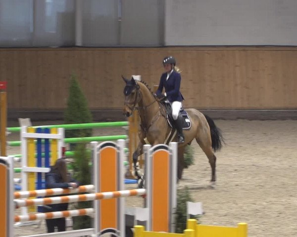 Springturnier Aachen - Albert-Vahle-Halle 2022