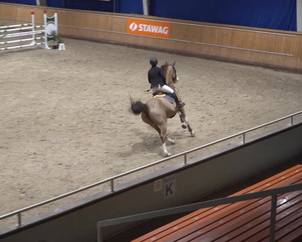 Springturnier Aachen - Albert-Vahle-Halle 2022