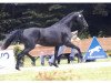 broodmare Lady Leatherdal (Rhinelander, 2004, from Lord Loxley I)