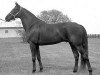 stallion Victory Song 76207 (US) (American Trotter, 1943, from Volomite 68580 (US))