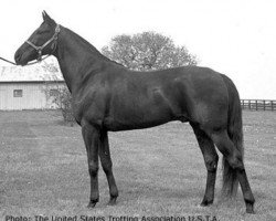 stallion Victory Song 76207 (US) (American Trotter, 1943, from Volomite 68580 (US))