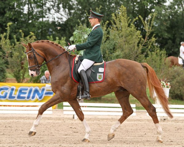 stallion Lößnitz (German Sport Horse, 2006, from Lord Georg)