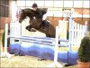 stallion For Next Generation (German Riding Pony, 2006, from For Kids Only)