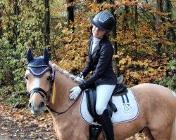 dressage horse Tuc Tuc (German Riding Pony, 2014, from Top Cerubino)