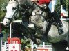 stallion Acorado's Ass (Hanoverian, 1999, from Acorado I)