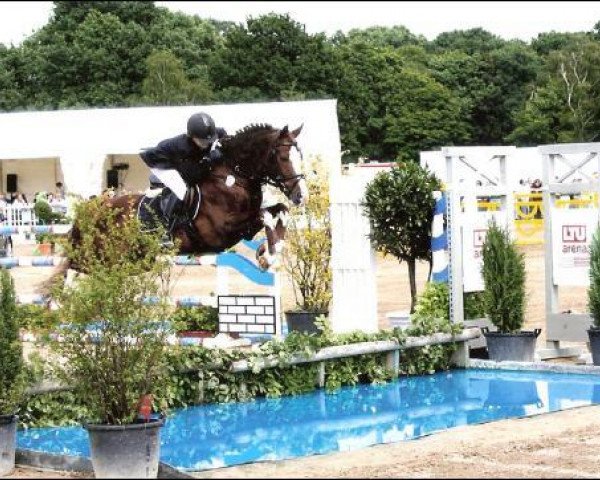 stallion Mentos Charmeur (Rhinelander, 1999, from Mentos)