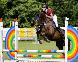 jumper Queen Mary 22 (Hanoverian, 2012, from FRH Quaid)