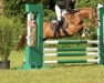 dressage horse Schlaggenhof's Bonjovi (German Riding Pony, 2006, from Black Boy)