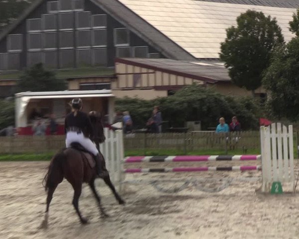 Reitturnier Schülp / Rendsburg 2021