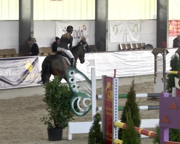 Hallenspringturnier Karlsfeld 2022