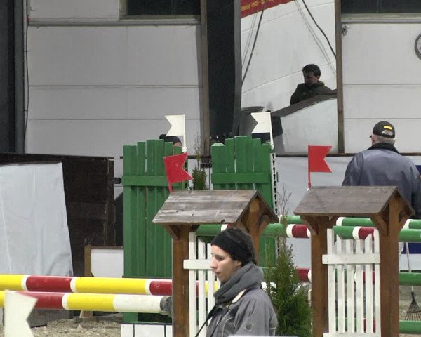 Hallenspringturnier Karlsfeld 2022