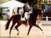 stallion Biotop (Russian Trakehner, 1985, from Blesk)