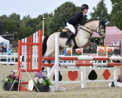 dressage horse Oona Phantom - Pony (unknown, 2010, from Ashfield Echo I Love You)