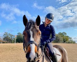 Dressurpferd KINAMARA silver cloud (Connemara-Pony, 2017, von Ashfield Echo I Love You)