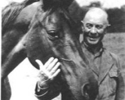 broodmare Ideale (Trakehner, 1942, from Totilas)