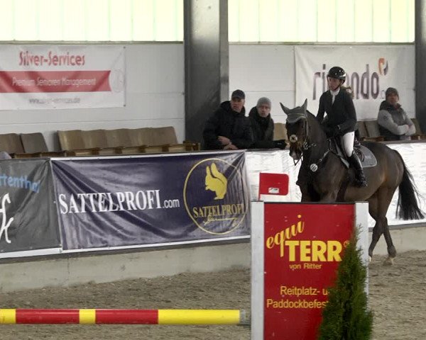 Hallenspringturnier Karlsfeld 2022