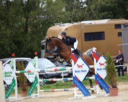 jumper Call Me Cool 3 (Oldenburg show jumper, 2008, from Call Me Number One)