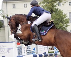 jumper Cass Juan (German Sport Horse, 2014, from Casskeni II)