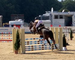 Springpferd ASG Darcy (Deutsches Reitpferd, 2016, von Dieu-Merci van T&L)