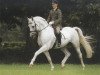 stallion Solar (Trakehner, 1988, from Altan II 1378)