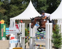 jumper Destina Della Vita (Oldenburg show jumper, 2015, from Diego de Semilly)