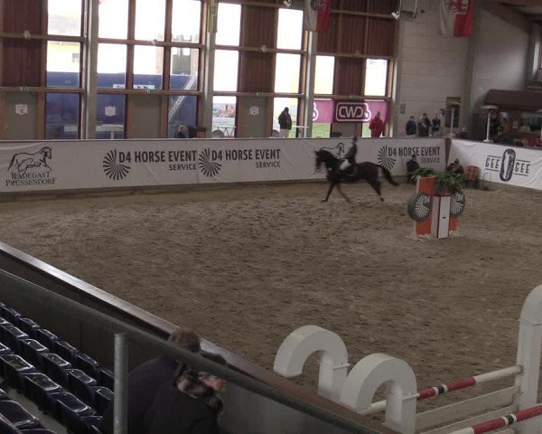 Hallenjumping Prussendorf 2022
