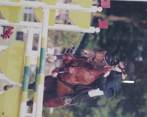 Pferd Penny Lane (Deutsches Reitpony, 1995, von Principal Boy)