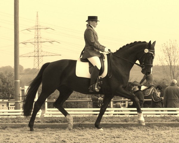 broodmare Baghira 69 (Oldenburg, 2003, from Future)
