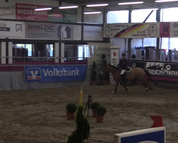 Bismarck Indoors Hallenturnier Vlotho-Exter 2022