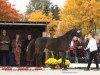 jumper Rosetto (Trakehner, 2010, from Meraldik)