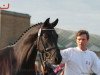 dressage horse Golden Motion (Trakehner, 2010, from Singolo)