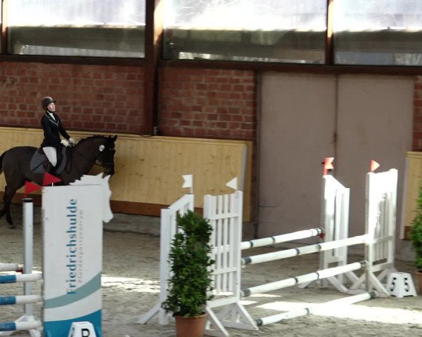 Springturnier Hamburg-Friedrichshulde/Sylva Kuhrt 2022