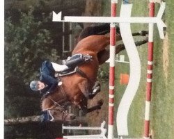 broodmare Ria (Oldenburg show jumper, 2006, from Rio Grande xx)