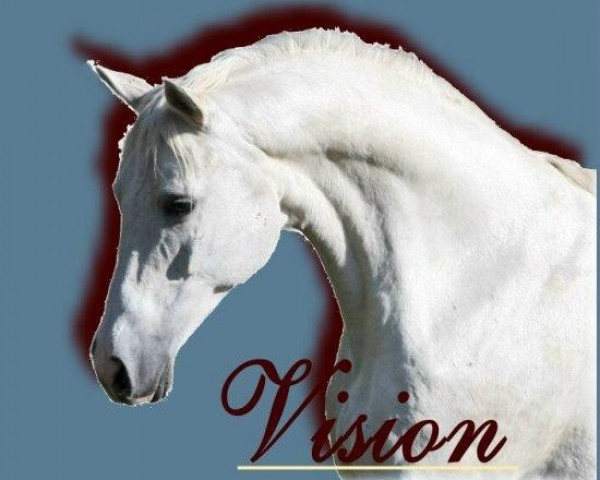 broodmare Vision IV (Trakehner, 1995, from Tuareg)