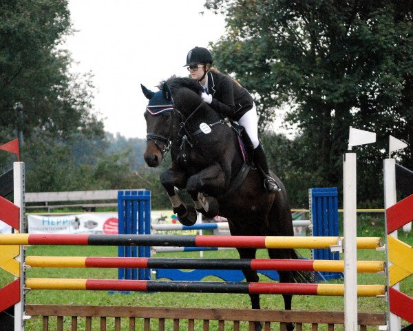 dressage horse Shalom K (Hanoverian, 1998, from Singular Joter)