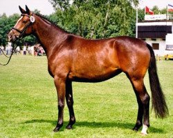 broodmare Herzensfreude (Trakehner, 1998, from Tivano)