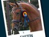 stallion Easton (Trakehner, 2009, from Gribaldi)