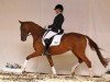 dressage horse Zimbal 3 (Trakehner, 2009, from Connery)