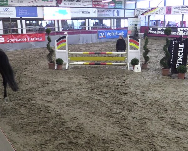Bismarck Indoors Hallenturnier Vlotho-Exter 2022