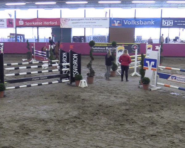 Bismarck Indoors Hallenturnier Vlotho-Exter 2022