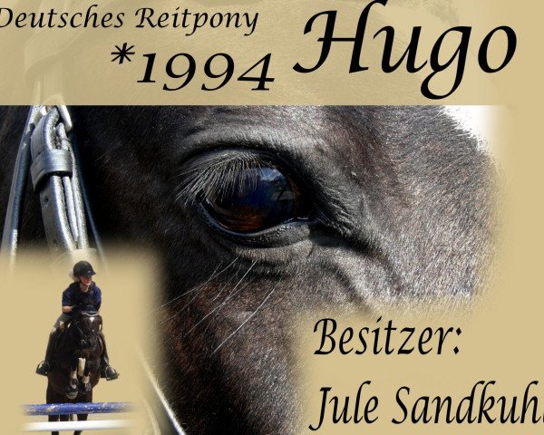 Springpferd Hugo 35 (Deutsches Reitpony, 1994, von Henry)