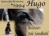 jumper Hugo 35 (German Riding Pony, 1994, from Henry)