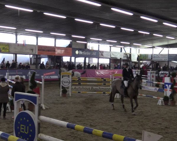 Bismarck Indoors Hallenturnier Vlotho-Exter 2022