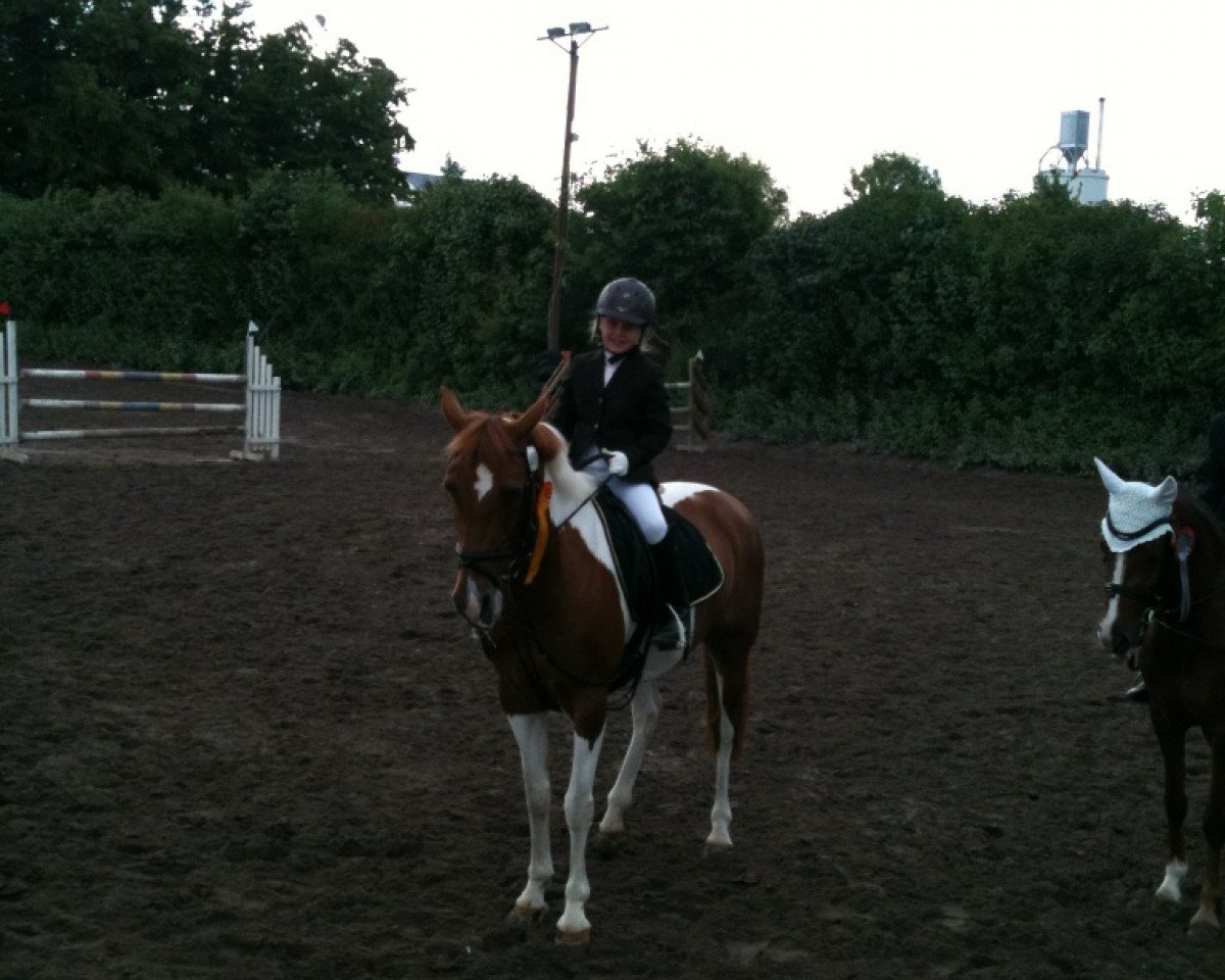 dressage horse Easy 85 (German Riding Pony, 1999)